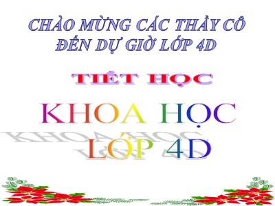 Bài giảng Khoa học Lớp 4 - Bài 59: Nhu cầu khoáng chất của thực vật - Năm học 2017-2018