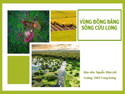 Bài giảng Địa lí Lớp 9 - Bài 35: Vùng đồng bằng Sông Cửu Long - Nguyễn Diệu Linh