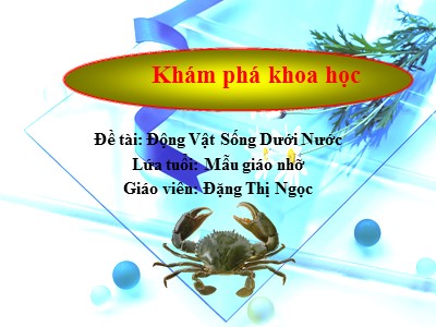 Bài giảng Khám phá khoa học Lớp Chồi - Đề tài: Động vật sống dưới nước - Đặng Thị Ngọc