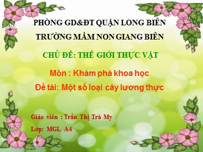 Bài giảng Khám phá khoa học Lớp Lá - Đề tài: Một số loại cây lương thực - Nguyễn Thị Trà My