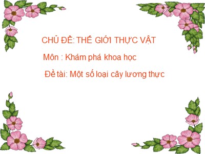 Bài giảng Khám phá khoa học Lớp Lá - Đề tài: Một số loại cây lương thực - Trường Mầm non Bắc Cầu