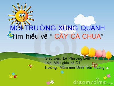 Bài giảng Khám phá môi trường xung quang Lớp Mầm - Đề tài: Tìm hiểu về cây cà chua - Lê Phương Liên