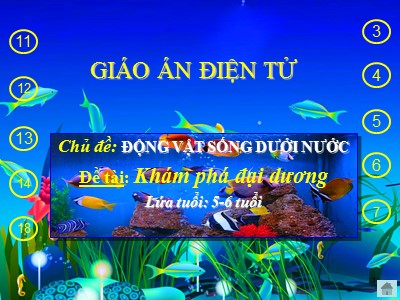 Bài giảng Khám phá môi trường xung quanh Lớp Lá - Đề tài: Khám phá đại dương - Trường Mầm non Bắc Cầu