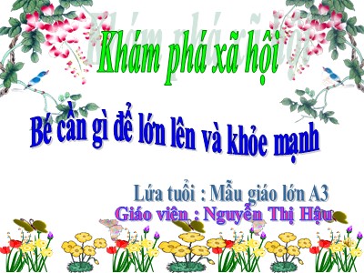 Bài giảng Khám phá xã hội Lớp Lá - Đề tài: Bé cần gì để lớn lên và khỏe mạnh - Nguyễn Thị Hậu