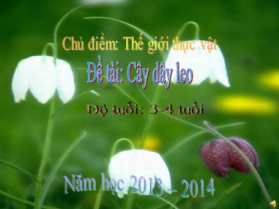 Bài giảng Làm quen văn học Lớp Mầm - Đề tài: Thơ Cây dây leo - Năm học 2013-2014