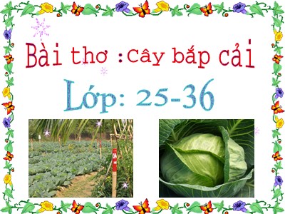 Bài giảng Làm quen văn học Lớp Nhà trẻ - Đề tài: Bài thơ Cây bắp cải