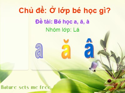 Bài giảng Làm quen với chữ cái Lớp Lá - Đề tài: Bé học a, ă, â