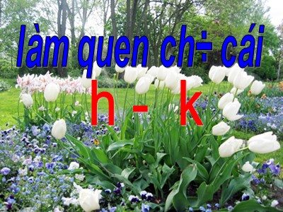 Bài giảng Làm quen với chữ cái Lớp Lá - Đề tài: Làm quen chữ cái h, k