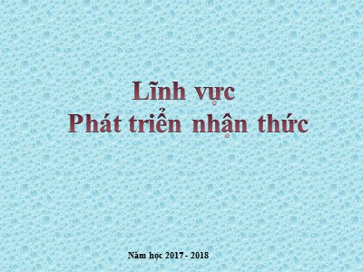 Bài giảng Làm quen với toán Lớp Mầm - Đề tài: So sánh độ lớn của 2 đối tượng. Phân biệt to nhỏ - Năm học 2017-2018