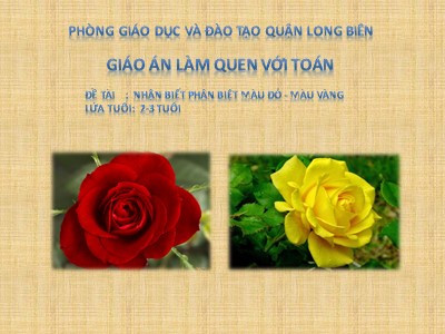 Bài giảng Làm quen với toán Lớp Nhà trẻ - Đề tài: Nhận biết màu đỏ, màu vàng - Trường Mầm non Bắc Cầu