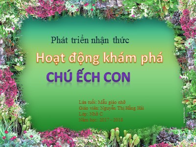 Bài giảng Phát triển nhận thức Lớp Chồi - Đề tài: Hoạt động khám phá Chú ếch con - Năm học 2017-2018 - Nguyễn Thị Hằng Hải