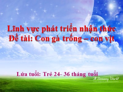 Bài giảng Phát triển nhận thức Lớp Nhà trẻ - Đề tài: Đề tài: Con gà trống, con vịt - Trường Mầm non Bắc Cầu