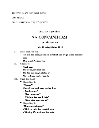 Giáo án Hoạt động tạo hình Lớp Mầm - Đề tài: Con cánh cam - Năm học 2015-2016 - Trần Thị Tố Uyên