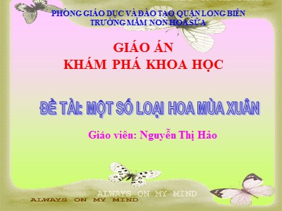 Bài giảng Khám phá khoa học Lớp Lá - Đề tài: Một số loại hoa mùa xuân - Nguyễn Thị Hảo