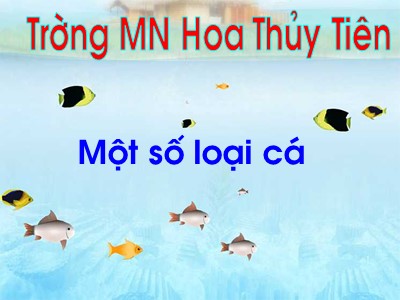 Bài giảng Khám phá khoa học Lớp Lá - Đề tài: Tìm hiểu một số loại cá - Trường Mầm non Hoa Thủy Tiên