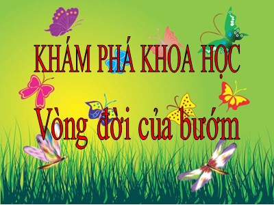 Bài giảng Khám phá khoa học Lớp Mầm - Đề tài: Vòng đời của bướm