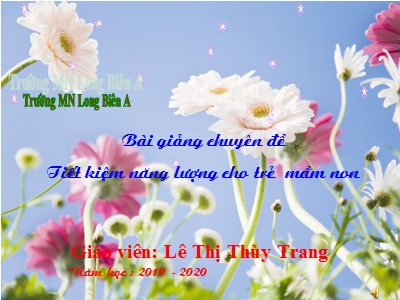 Bài giảng Chuyên đề Tiết kiệm năng lượng cho trẻ mầm non - Năm học 2019-2020 - Lê Thị Thùy Trang