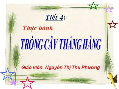 Bài giảng Hình học Lớp 6 - Tiết 4: Thực hành Trồng cây thẳng hàng - Nguyễn Thị Thu Phương