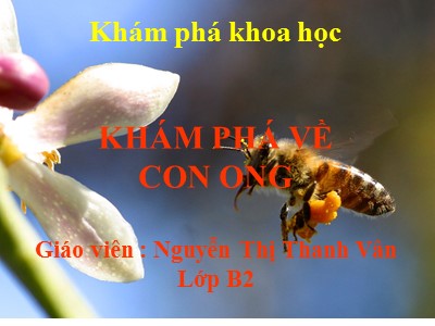 Bài giảng Khám phá khoa học Lớp Chồi - Đề tài: Khám phá về con ong - Nguyễn Thị Thanh Vân