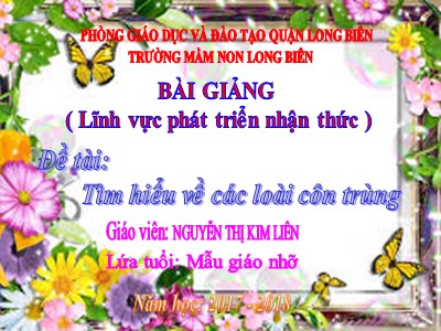 Bài giảng Khám phá khoa học Lớp Chồi - Đề tài: Tìm hiểu về các loài côn trùng - Năm học 2017-2018 - Nguyễn Thị Kim Liên