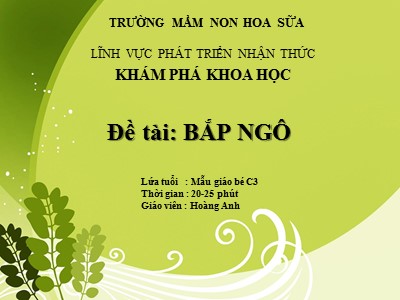 Bài giảng Khám phá khoa học Lớp Mầm - Đề tài: Bắp ngô - Hoàng Anh