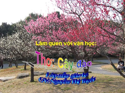 Bài giảng Làm quen văn học Lớp Mầm - Đề tài: Thơ Cây đào - Nguyễn Thị Tuyết