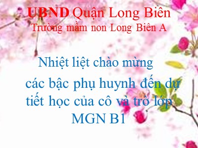 Bài giảng Làm quen với toán Lớp Chồi - Đề tài: Dạy trẻ nhận biết số 3, số lượng và số thứ tự trong phạm vi 3 - Lê Thị Thùy Giang