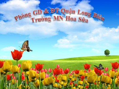 Bài giảng Làm quen với toán Lớp Mầm - Đề tài: Phân biệt hình vuông, hình chữ nhật - Phan Thanh Luyện