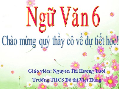 Bài giảng Ngữ văn Lớp 6 - Tiết 19: Từ nhiều nghĩa và hiện tượng chuyển nghĩa của từ - Nguyễn Thị Hương Tươi