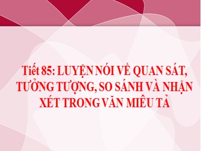 Bài giảng Ngữ văn Lớp 6 - Tiết 85+86: Luyện nói về quan sát, tưởng tượng, so sánh và nhận xét trong văn miêu tả