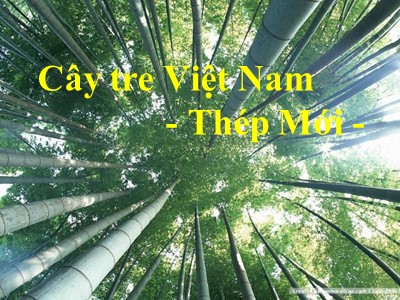 Bài giảng Ngữ văn Lớp 6 - Văn bản: Cây tre Việt Nam (Thép Mới)