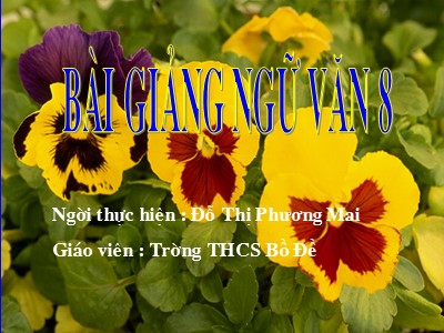 Bài giảng Ngữ văn Lớp 8 - Tiết 105+106: Văn bản Thuế máu - Đỗ Thị Phương Mai