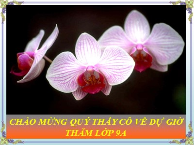 Bài giảng Ngữ văn Lớp 9 - Tiết 58: Đọc hiểu Ánh trăng (Nguyễn Duy)