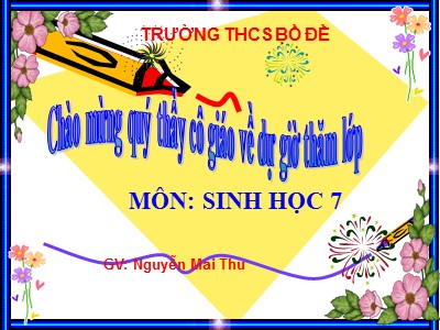 Bài giảng Sinh học Lớp 7 - Bài 46: Thỏ - Nguyễn Mai Thu