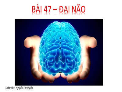 Bài giảng Sinh học Lớp 8 - Bài 47: Đại não - Nguyễn Thị Huyền