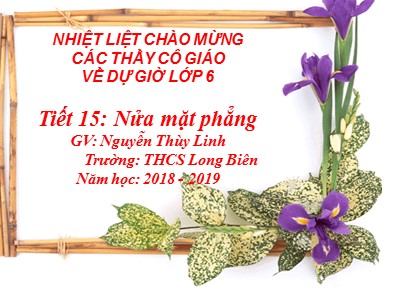 Bài giảng Hình học Lớp 6 - Tiết 15: Nửa mặt phẳng - Năm học 2018-2019 - Nguyễn Thùy Linh