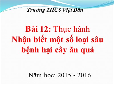 Bài giảng Công nghệ Lớp 9 - Bài 12: Thực hành Nhận biết một số loại sâu bệnh hại cây ăn quả - Năm học 2015-2016 - Trường THCS Việt Dân