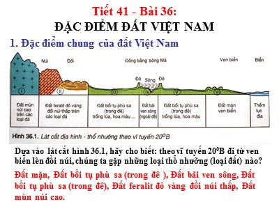 Bài giảng Địa lí Lớp 8 - Bài 36: Đặc điểm đất Việt Nam - Năm học 2018-2019
