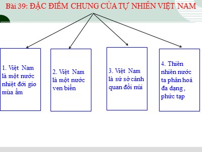 Bài giảng Địa lí Lớp 8 - Bài 39: Đặc điểm chung của tự nhiên Việt Nam - Trường THCS Gia Thụy