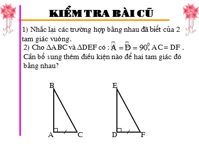 Bài giảng Hình học Lớp 7 - Chương 2, Bài 8: Các trường hợp bằng nhau của tam giác vuông - Năm học 2019-2020