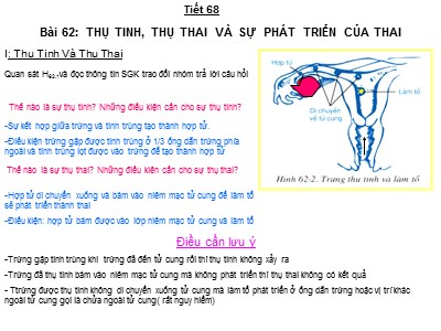Bài giảng Sinh học Lớp 8 - Tiết 68, Bài 62: Thụ tinh, thụ thai và sự phát triển của thai - Năm học 2018-2019