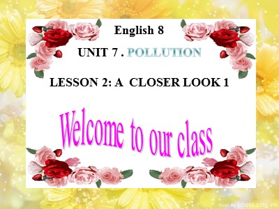 Bài giảng Tiếng anh Lớp 8 - Unit 7, Lesson 2: A closer look 1 - Năm học 2019-2020