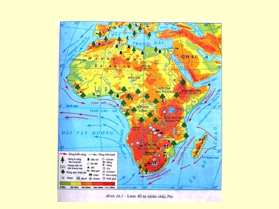 Bài giảng Địa lí Lớp 7 - Bài 27: Thiên nhiên Châu Phi (Tiếp theo)