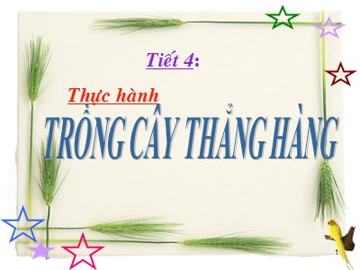 Bài giảng Hình học Lớp 6 - Tiết 4: Thực hành Trồng cây thẳng hàng - Năm học 2019-2020