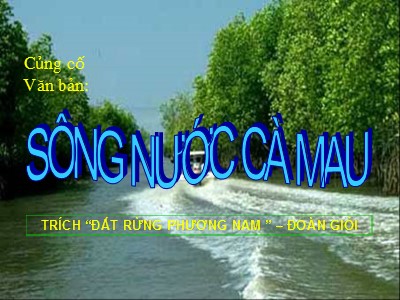 Bài giảng Ngữ văn Lớp 6 - Bài 19: Văn bản Sông nước Cà Mau (Đoàn Giỏi)