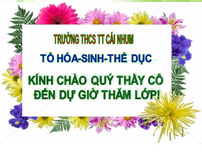 Bài giảng Sinh học Khối 6 - Bài 13: Cấu tạo ngoài của thân - Trường THCS Cái Nhum