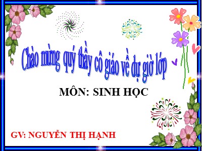 Bài giảng Sinh học Khối 6 - Bài 19: Đặc điểm bên ngoài bên của lá - Nguyễn Thị Hạnh