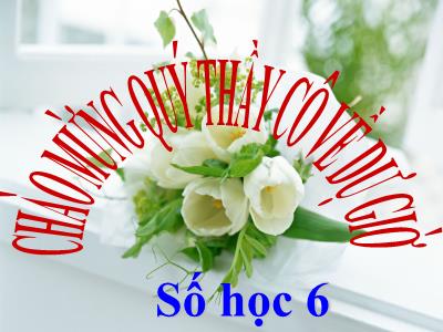 Bài giảng Số học Lớp 6 - Chương 3, Bài 6: So sánh phân số - Năm học 2019-2020