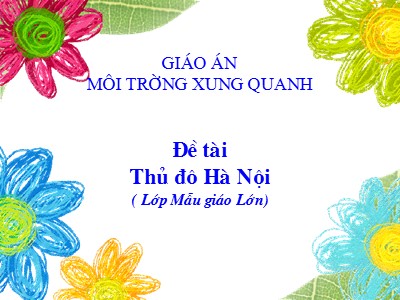 Bài giảng Môi trường xung quang - Đề tài: Thủ đô Hà Nội