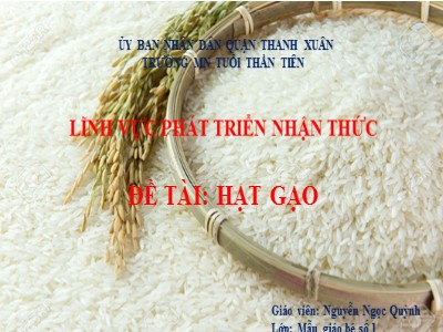 Bài giảng Phát triển nhận thức - Đề tài: Hạt gạo - Nguyễn Ngọc Quỳnh